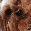 Jeni Ebert - @jeni.ebert - TikTok
