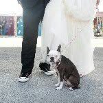 Jenny Ebert - @nycweddingphoto - Instagram