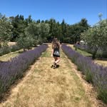 Jenny Egan - @littlewaysaway - Instagram