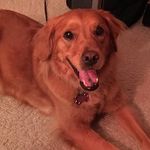 Jenny Herring - @jen_the_fish - Instagram