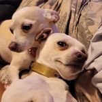 Jennie Holder Hooker - @jennie.hooker.72 - Instagram
