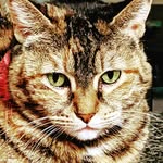 Barbara Glasgow-Jennie Marks - @fleurdelis15 - Instagram