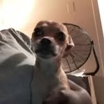 Jennie Mcclain - @jennie.mcclain.714 - Instagram