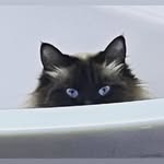 Jennie Robbie - @jennie.robbie8657 - Instagram