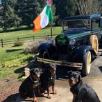Jennie Ryan - Facebook