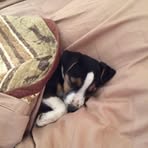 Jennifer Amis - Facebook