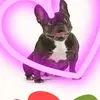 jenniferarend758 - @jenniferarend758 - TikTok