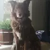 jenniferarkwell - @jenniferarkwell - TikTok