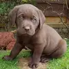 jenniferarp6 - @jenniferarp6 - TikTok