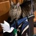 Jennifer Artz - Facebook