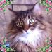 Jennifer Ashabranner - Facebook