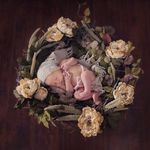 Jennifer Babbitt Photography - @jenniferbabbittphotography - Instagram