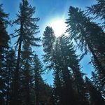 Jennifer Backstrom - @jenniferbackstrom1163 - Instagram
