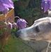 Jennifer Ballinger - Facebook