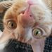 Jennifer Bartell - Facebook