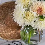 Jennifer Bartell - @thebartellfarmstand - Instagram