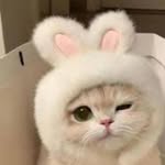 Jennifer L. Basler - @jenniferl.352 - Instagram