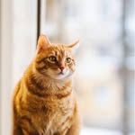 Jennifer L. Basler - @jenniferl.221 - Instagram