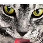 Jennifer L. Basler - @jenniferl.132 - Instagram