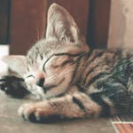 Jennifer L. Basler - @jenniferl.549 - Instagram