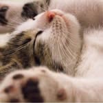 Jennifer L. Basler - @jenniferl.5001 - Instagram