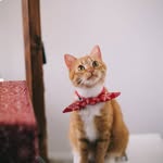 Jennifer L. Basler - @jenniferl.223 - Instagram