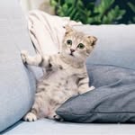 Jennifer L. Basler - @jenniferl.525 - Instagram
