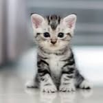 Jennifer L. Basler - @jenniferl.3590 - Instagram