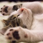 Jennifer L. Basler - @jenniferl.973 - Instagram