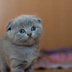 Jennifer L. Basler - @jenniferl.167 - Instagram