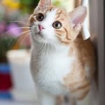 Jennifer L. Basler - @jenniferl.48 - Instagram