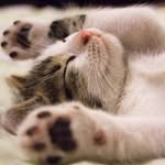Jennifer L. Basler - @jenniferl.956 - Instagram