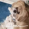jenn - @jenniferbate532 - TikTok