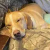 Jennifer Bear - @jennifer.bear61 - TikTok