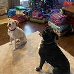 Jennifer Bedard Stanley - @jenniferbedardstanley - Instagram