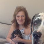 Jennifer Bellini - @jennitoo63 - Instagram