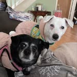 Jennifer Berta Vaglica - @sewingladyjen - Instagram