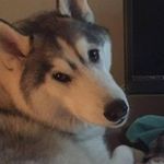 Jennifer Bibb - @jennifer.bibb.7 - Instagram