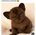 Jennifer Biddle - Facebook