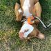 Jennifer Daroshefski - Facebook