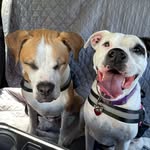 Jennifer Boren Mercer - @jenmercer75 - Instagram