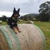 Jennifer Bowerman - Facebook