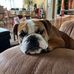 Jennifer Botello - Facebook