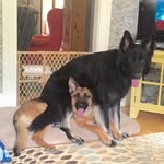 Jennifer Bourassa - @drjenb114 - Instagram