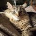 Jennifer Boysen - Facebook