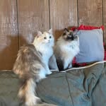 Jennifer Breese Guthrie - @jennifer_breese_guthrie - Instagram