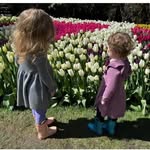 Jennifer Brehmer - @jennifer__brehmer - Instagram