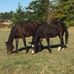 Jennifer Bruning - Facebook