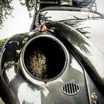 Paul And Jennifer Buchner - @mayhemrose63 - Instagram