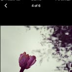Jennifer Burd - Facebook